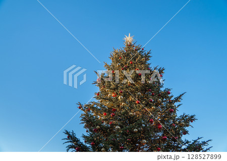 青空と赤いオーナメントのクリスマスツリー 128527899