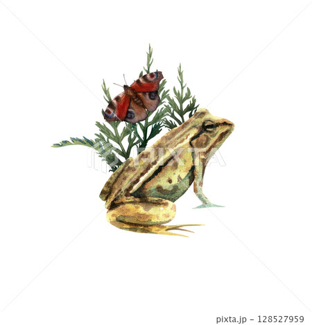 Watercolor composition consisting of a frog in the grass with butterfly 128527959