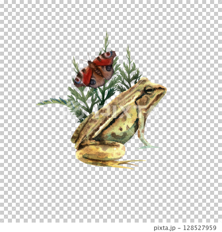 Watercolor composition consisting of a frog in the grass with butterfly 128527959