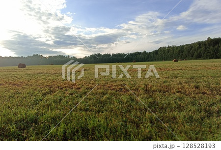Rural Landscape with Hay Bales and Forest Backdrop Under a Cloudy Sky. Serene Countryside Rural Landscape with Hay Bales and Forest Backdrop Under a Cloudy Sky. Serene Countryside 128528193