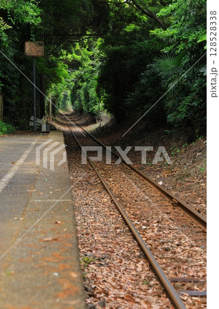 森林のトンネルを抜ける列車 128528338