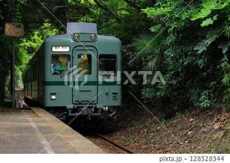森林のトンネルを抜ける列車 128528344
