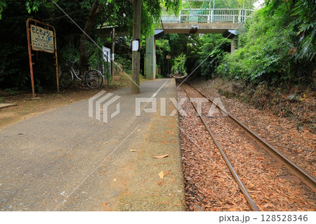 森林のトンネルを抜ける列車 128528346