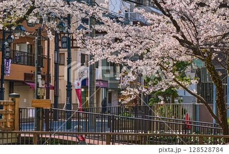 仲宿商店街の春、桜が彩る街角（東京都板橋区） 128528784