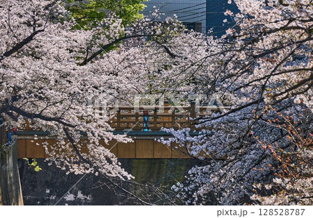 桜に包まれた春の橋（東京都・板橋区） 128528787