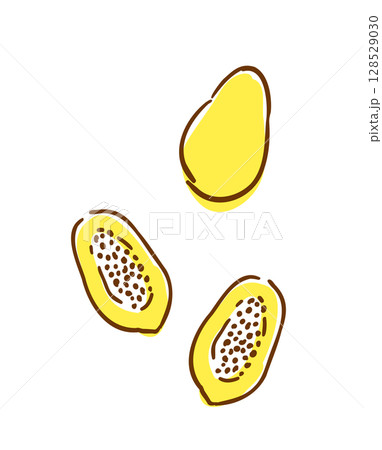パパイヤの手描きイラスト パパイヤの手描きイラスト 128529030