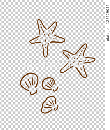 Starfish hand-drawn illustration_line drawing 128529032