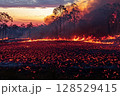 Fire burning dry grass and trees in open field at sunset, Queensland, Australia, dramatic wildfire and smoke rising into sky 128529415