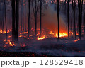 Fire in the forest with burning trees and shrubs, thick smoke and bright flames during natural disaster and wildfire 128529418