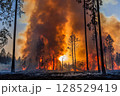 Forest fire with burning dry grass and trees, intense flames and thick smoke rising in woodland area, natural disaster and environmental destruction 128529419