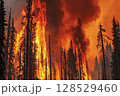 Burning forest during strong wildfire in Yellowstone National Park, Wyoming with thick smoke and intense flames 128529460