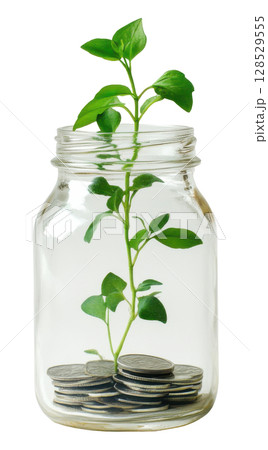 Plant growing on coin in glass jar transparent PNG clipart isolated on white background. 128529555