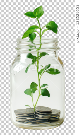 Plant growing on coin in glass jar transparent PNG clipart isolated on white background. 128529555