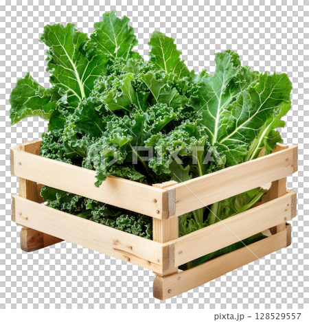 Kale salad fresh vegetable in wooden crate transparent PNG clipart isolated on white background. 128529557