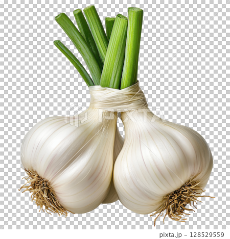 Garlic isolated on white background transparent PNG clipart. 128529559