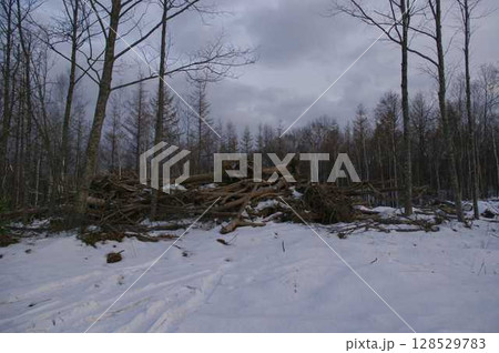 2016年8月30日大型台風本州を縦断し北海道十勝清水の爪跡 10週間後25 2016年8月30日大型台風本州を縦断し北海道十勝清水の爪跡 10週間後25 128529783