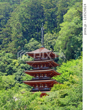 長谷寺の五重塔 長谷寺の五重塔 128529824