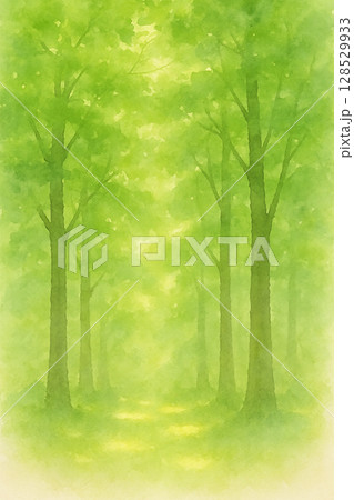 新緑の森と木漏れ日のやわらか背景 128529933