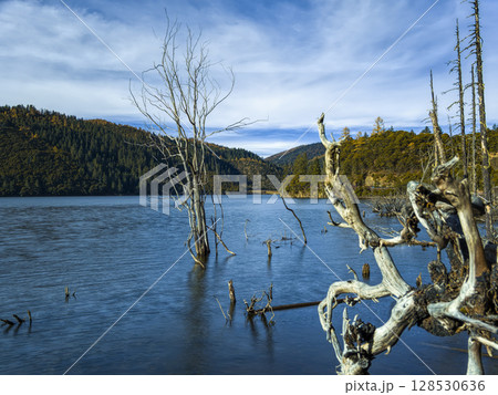 中国・普達措国家公園 属都湖 / Shudu Lake, Yunnan, China 128530636