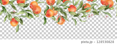 Seamless horizontal frame or banner tropical grapefruit with pink flowers. Hand drawn watercolor illustration on white isolated background. Citrus pattern for frame or banner. Fruit with green leaves Seamless horizontal frame or banner tropical grapefruit with pink flowers. Hand drawn watercolor illustration on white isolated background. Citrus pattern for frame or banner. Fruit with green leaves 128530828