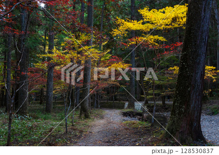 秋の静岡県森町　遠江国一宮　小國神社　境内の紅葉 128530837