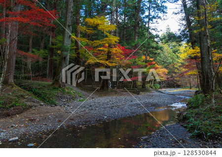 秋の静岡県森町　遠江国一宮　小國神社　境内の紅葉 128530844