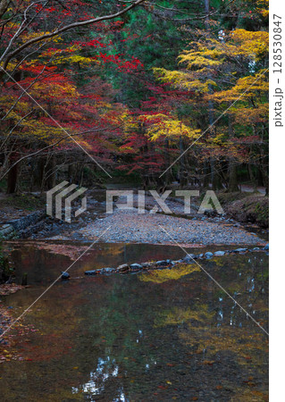 秋の静岡県森町　遠江国一宮　小國神社　境内の紅葉 128530847