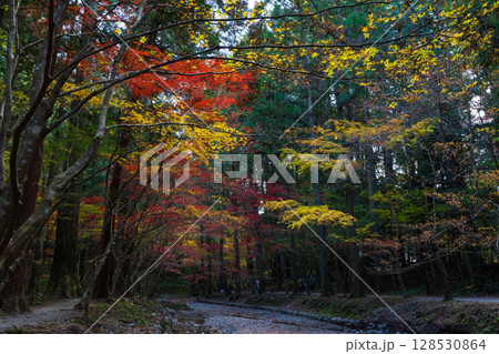 秋の静岡県森町　遠江国一宮　小國神社　境内の紅葉 128530864