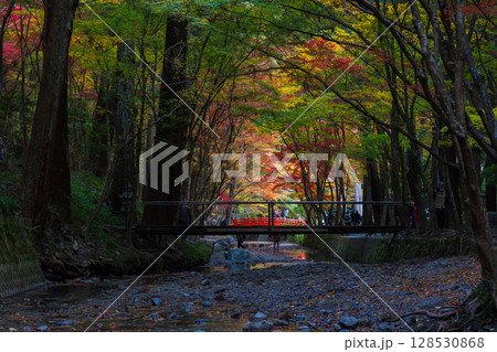 秋の静岡県森町 遠江国一宮 小國神社 境内の紅葉 秋の静岡県森町 遠江国一宮 小國神社 境内の紅葉 128530868