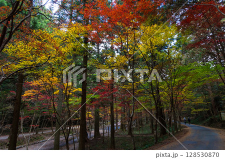 秋の静岡県森町　遠江国一宮　小國神社　境内の紅葉 128530870