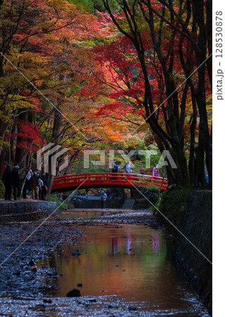 秋の静岡県森町 遠江国一宮 小國神社 境内の紅葉 秋の静岡県森町 遠江国一宮 小國神社 境内の紅葉 128530878