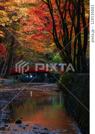 秋の静岡県森町　遠江国一宮　小國神社　境内の紅葉 128530881