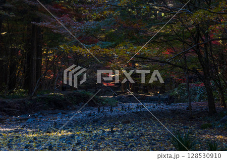 秋の静岡県森町　遠江国一宮　小國神社　境内の紅葉 128530910