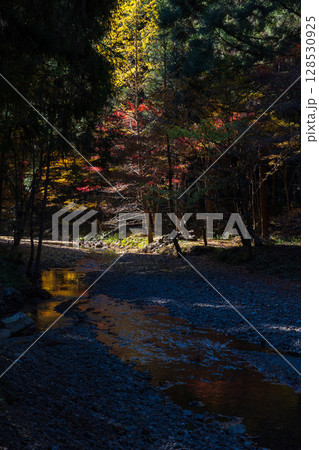 秋の静岡県森町　遠江国一宮　小國神社　境内の紅葉 128530925