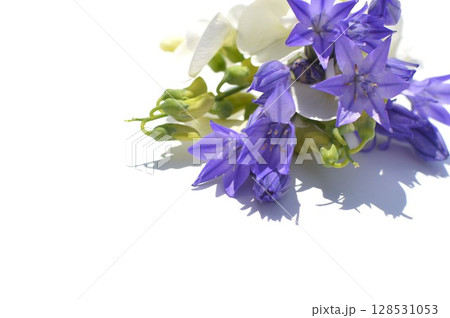 青紫色のトリテレイアと白色のサマースイートピーの小さなブーケ 128531053