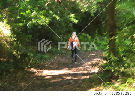 城ヶ崎海岸の小道を散策 128533280