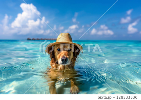 dog summer holiday wearing hat having fun with water on the beach, generative ai 128533330