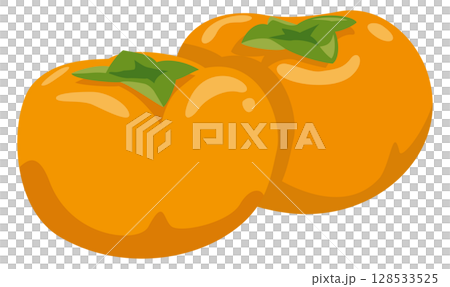 新鮮な柿のイメージイラスト 128533525