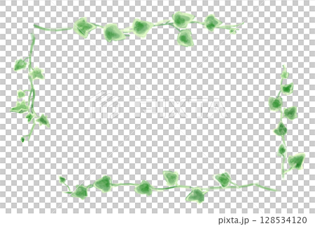 常春藤插圖集,植物自然風格。 常春藤插圖集,植物自然風格。 128534120