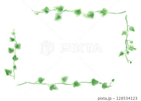 アイビーのイラストセット、ボタニカルナチュラル系。 128534123