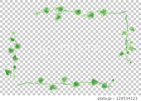 アイビーのイラストセット、ボタニカルナチュラル系。 128534123