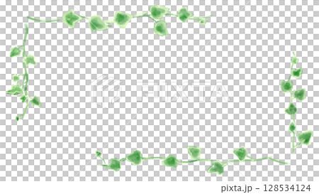 アイビーのイラストセット、ボタニカルナチュラル系。 128534124