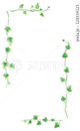 アイビーのイラストセット、ボタニカルナチュラル系。 128534125
