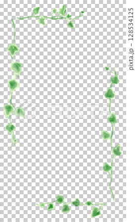 アイビーのイラストセット、ボタニカルナチュラル系。 128534125