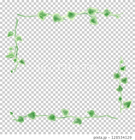 アイビーのイラストセット、ボタニカルナチュラル系。 128534129