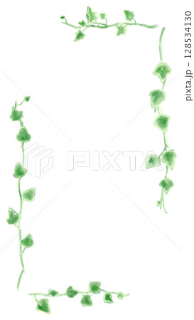 アイビーのイラストセット、ボタニカルナチュラル系。 128534130