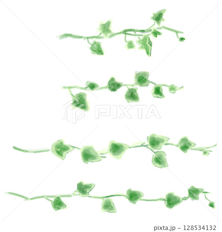 アイビーのイラストセット、ボタニカルナチュラル系。 128534132