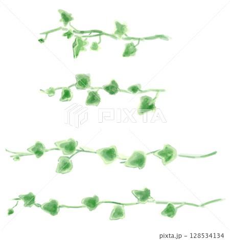 アイビーのイラストセット、ボタニカルナチュラル系。 アイビーのイラストセット、ボタニカルナチュラル系。 128534134