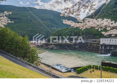 浜松市の秋葉ダムと千本桜の風景(静岡県) 浜松市の秋葉ダムと千本桜の風景(静岡県) 128534221