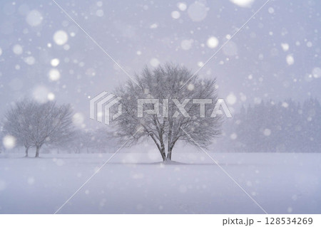 ふわふわの雪の玉ボケの中の木 128534269